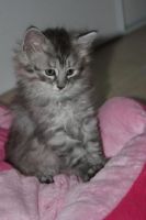 ISHTAR