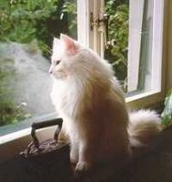 ISAK DINESEN /FEL JUB/