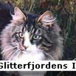 IPS /GLITT/