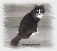 SYLVESTER /ELLI/ ELLILAS
