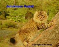 RUDOLF /SATU